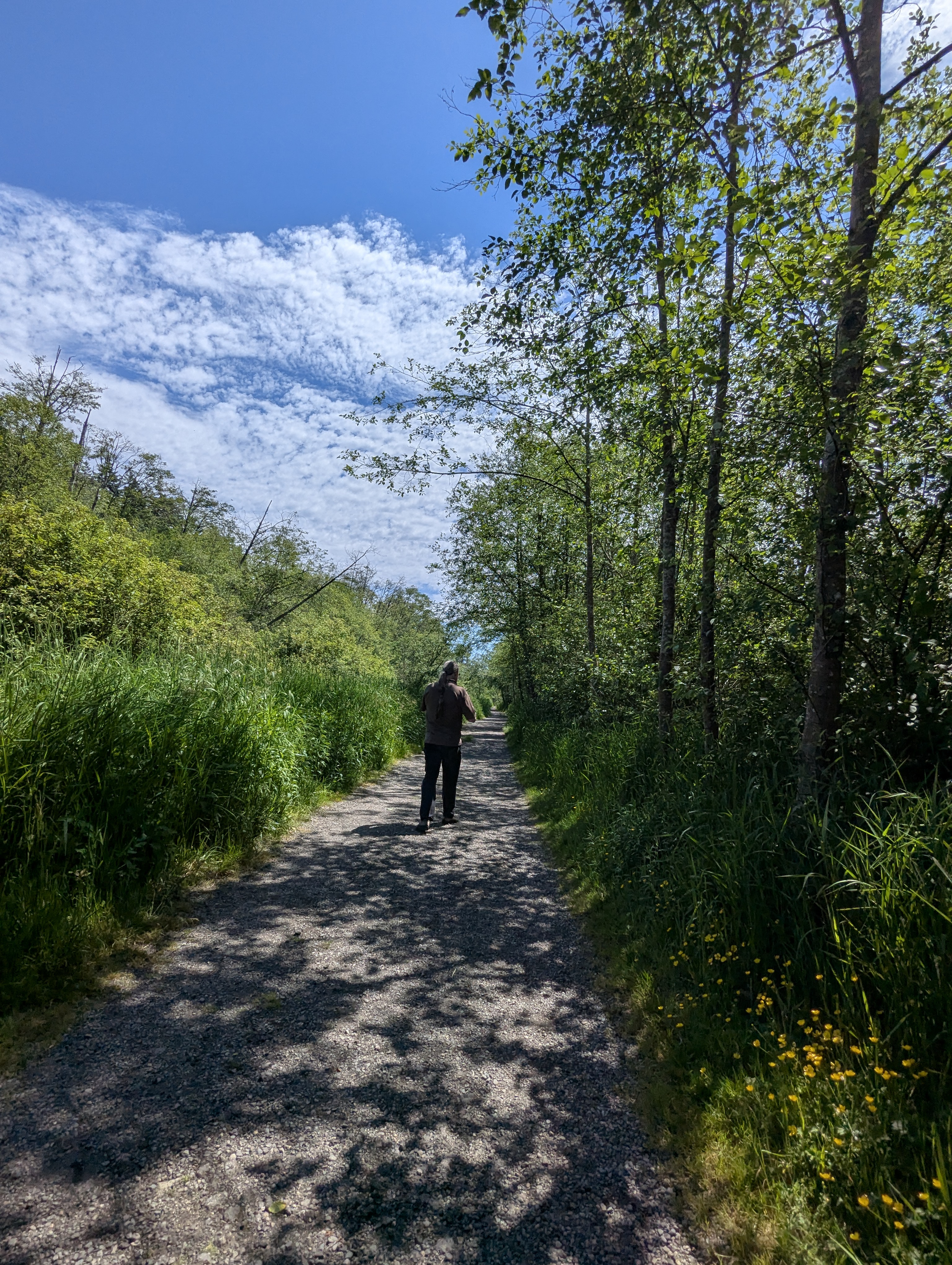 Birthday Trip to Canada, Delta, Burns Bog, Vancouver, British Columbia